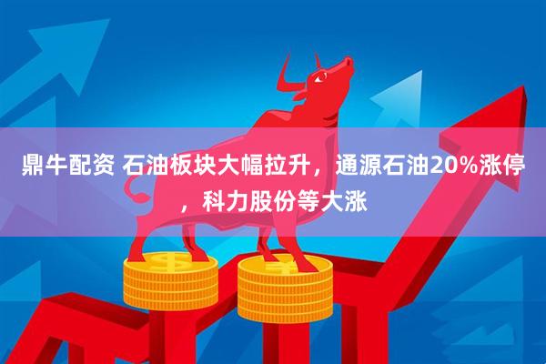 鼎牛配资 石油板块大幅拉升，通源石油20%涨停，科力股份等大涨