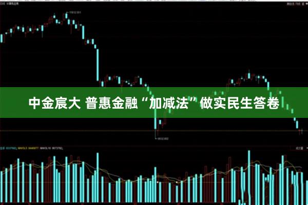中金宸大 普惠金融“加减法”做实民生答卷