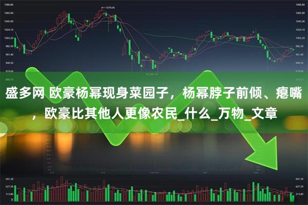 盛多网 欧豪杨幂现身菜园子，杨幂脖子前倾、瘪嘴，欧豪比其他人更像农民_什么_万物_文章