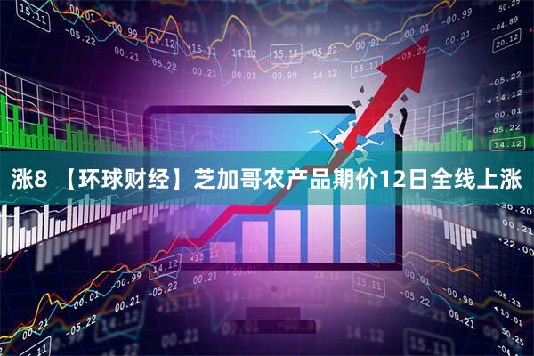 涨8 【环球财经】芝加哥农产品期价12日全线上涨