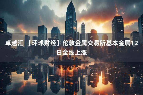 卓越汇 【环球财经】伦敦金属交易所基本金属12日全线上涨