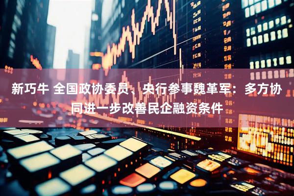 新巧牛 全国政协委员、央行参事魏革军：多方协同进一步改善民企融资条件