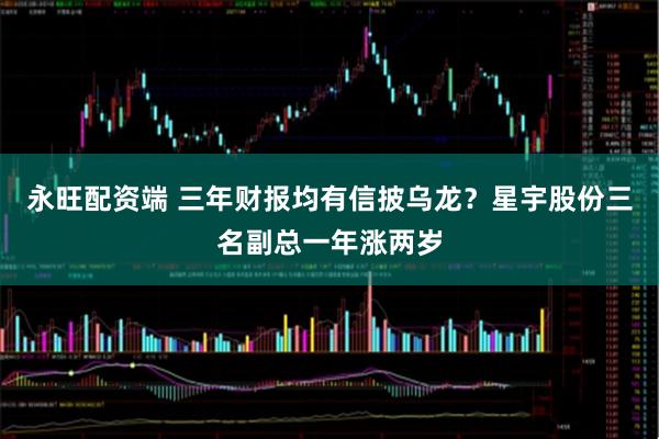 永旺配资端 三年财报均有信披乌龙？星宇股份三名副总一年涨两岁
